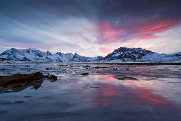 lofoten-018