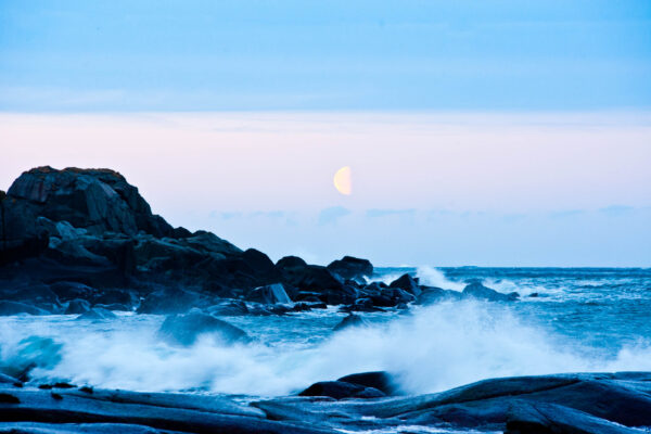 lofoten-038