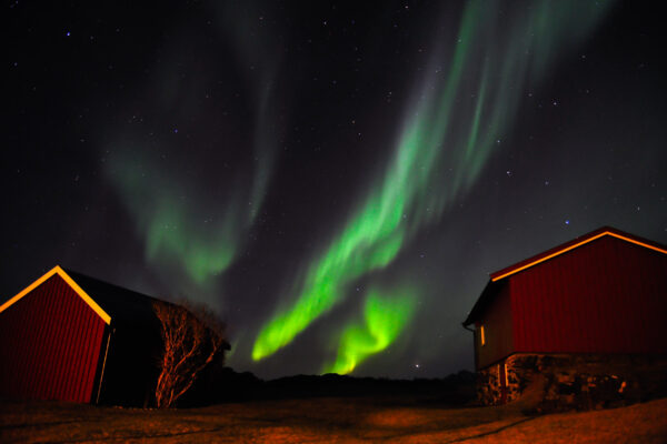 lofoten-060