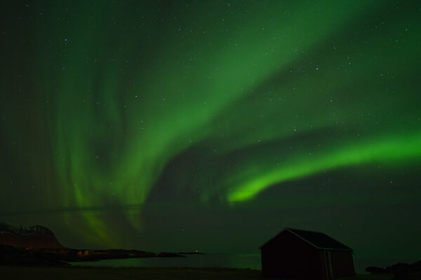 lofoten-062