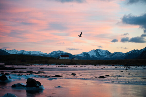 lofoten-074