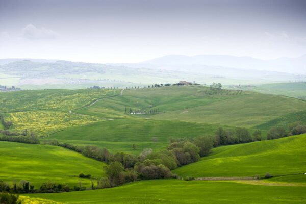 toscana007